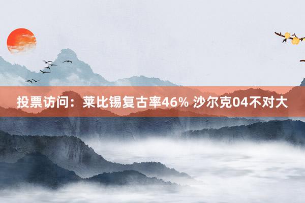 投票访问：莱比锡复古率46% 沙尔克04不对大